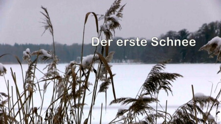 Der erste Schnee, Tegel 2021